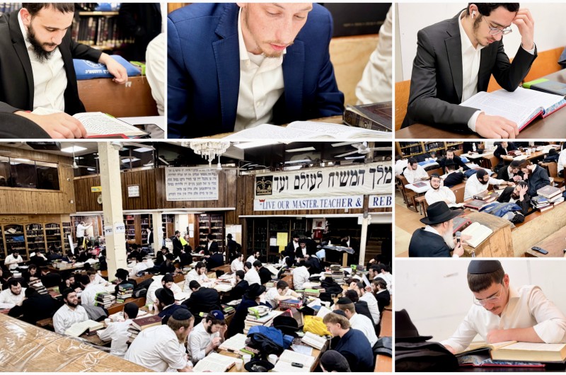 הגלריה השבועית של תלמידי תות