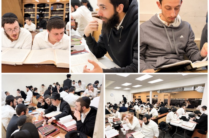 הגלריה השבועית של תלמידי תות