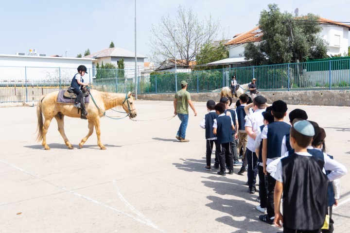 לא ויתרו על השמחה: ת