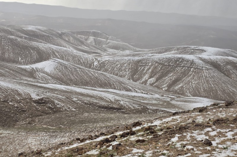 ומה היה אצלכם המזג? ברד שירד היום לצד גשמים משמעותיים במספר אזורים בדרום-הארץ, כיסה את הגבעות שסביב לעיר ערד בצבע הלבן (צילום: מוסא אלכמיסה, רשות הטבע והגנים)