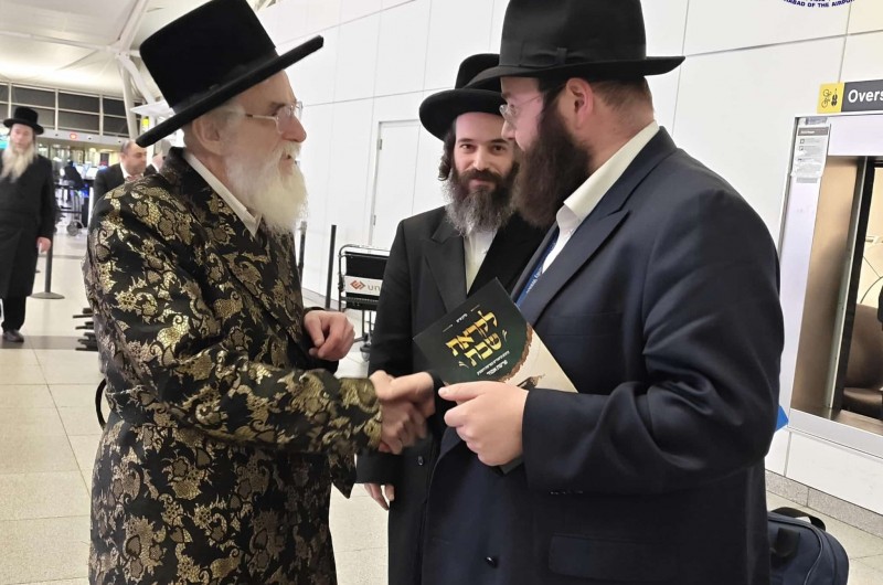 הרה