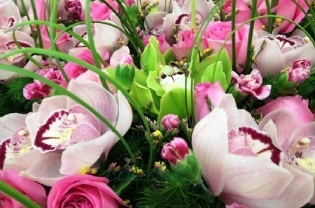 ברכת מזל טוב חמה ולבבית לר' חיים אייזנבך ורעייתו