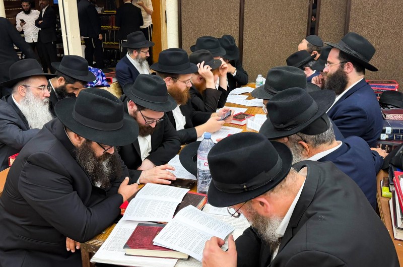 שבת אחים: שלוחי הרבי לעיר חולון שהגיעו לשבת ב-770, לומדים מאמר חסידות בבית מדרשו של הרבי. צילום: שמואל בצלאל דהן, COL