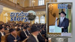 על איזה ענין אמר הרבי הריי