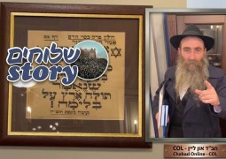 שנת תשי