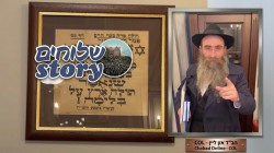 שנת תשי