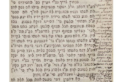 אוצר יקר: הגהות אדמו