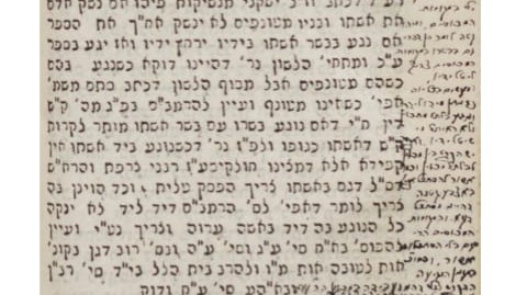 אוצר יקר: הגהות אדמו