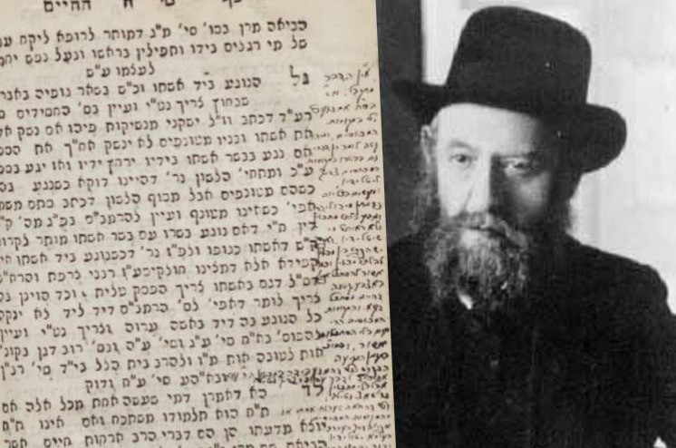 אוצר יקר: הגהות אדמו