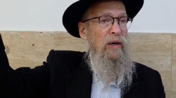 וּמָה הָאָרֶץ הַשְּׁמֵנָה הִוא אִם רָזָה הֲיֵשׁ בָּהּ עֵץ אִם אַיִן. רש