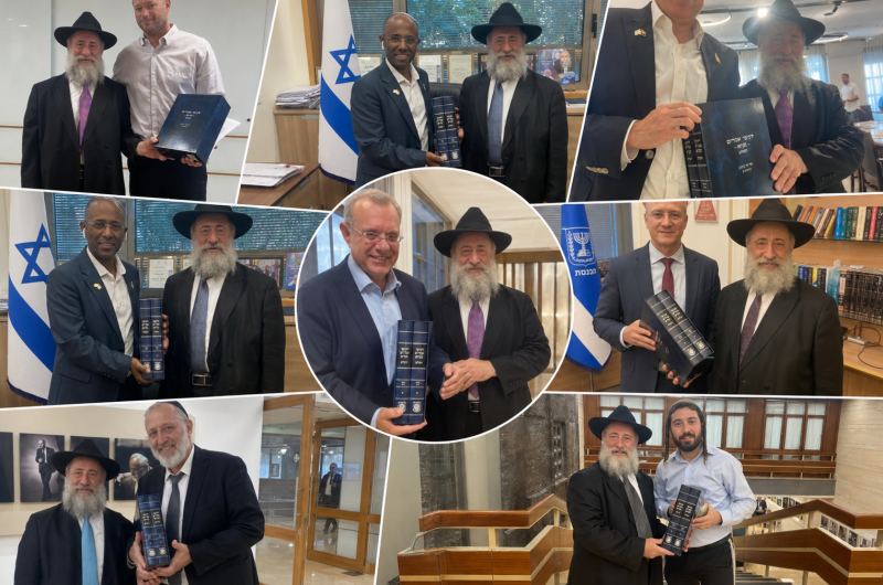 גלריה נוספת: ח