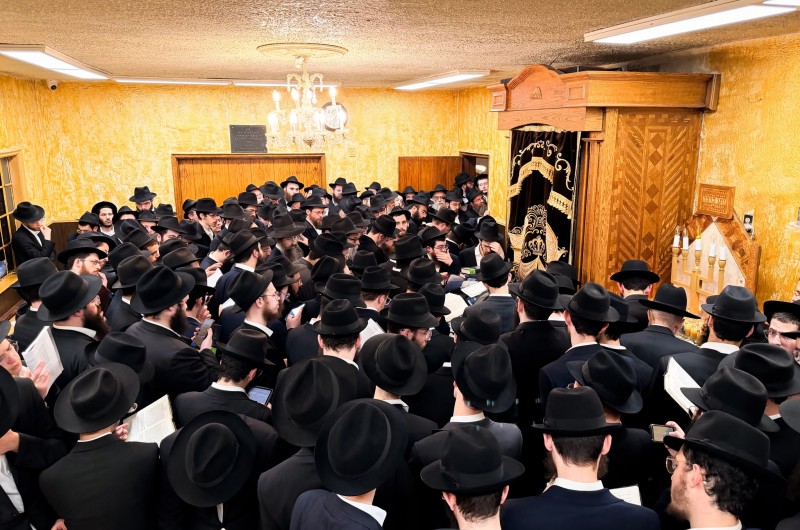 בזמן אמירת ה'מאמר': הזאל הקטן ב-770 התמלא עד אפס מקום