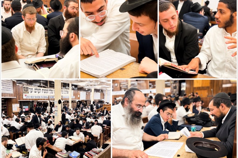 הגלריה השבועית של תלמידי 