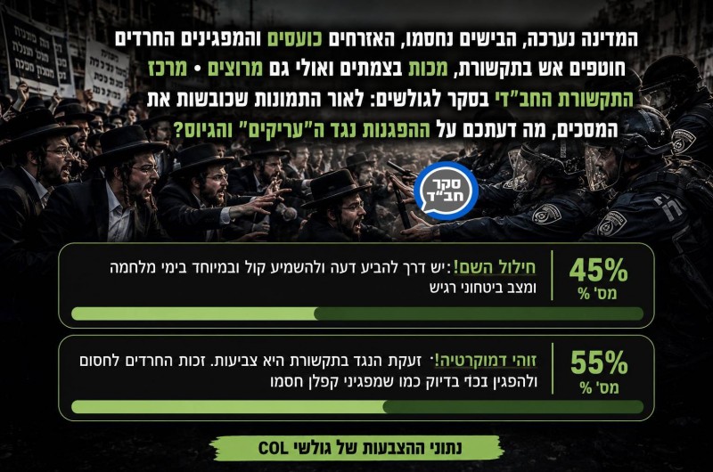 סקר COL מציג: החב