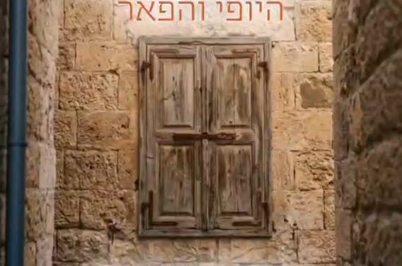 סדרת האנימציה 
