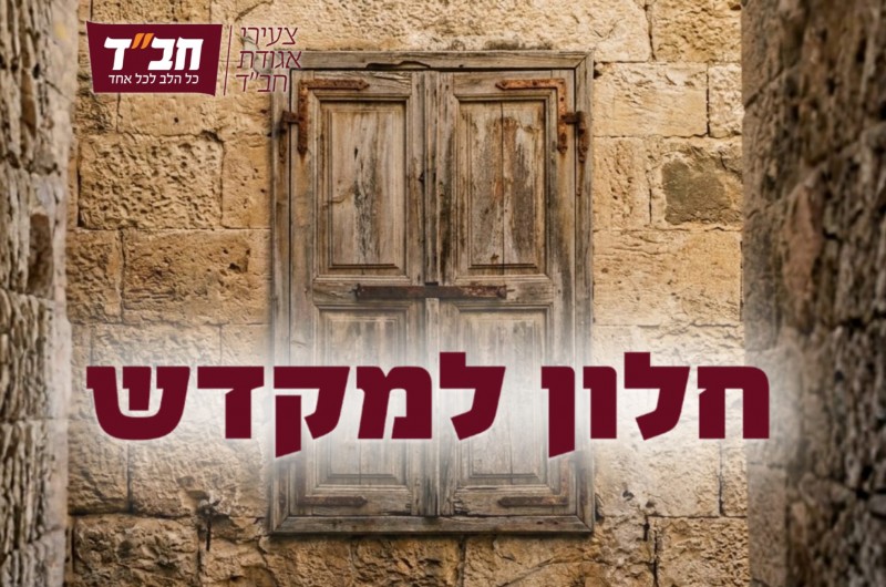 סדרת האנימציה 