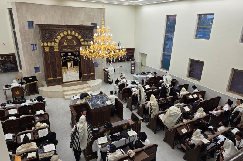 התפילות של צום תשעה באב ב-770, בית הכנסת החדש והמרהיב שמשמש כבית חב