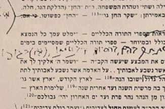 נחשף כתי