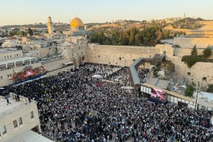 ממבט על: המוני חסידי חב
