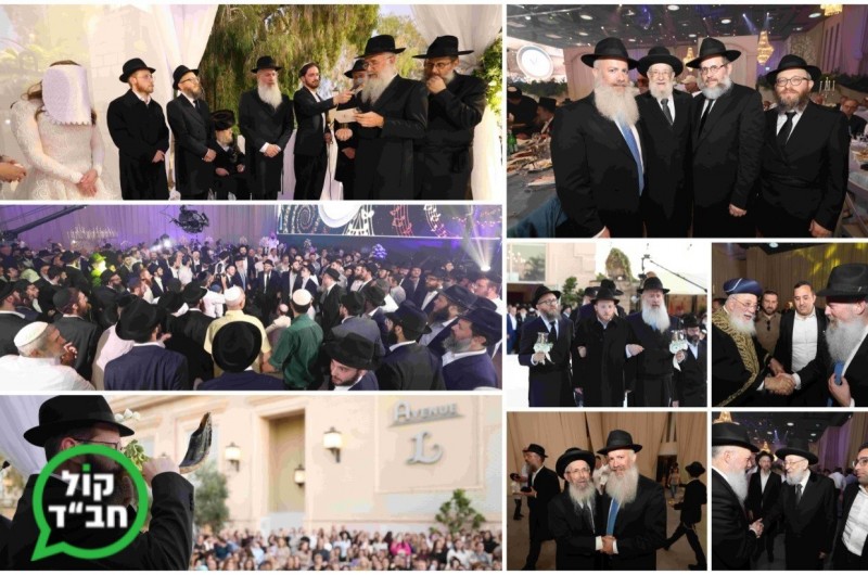 חתונת משפחות שנור גני תקווה וביסטריצקי מסביון | גלריה