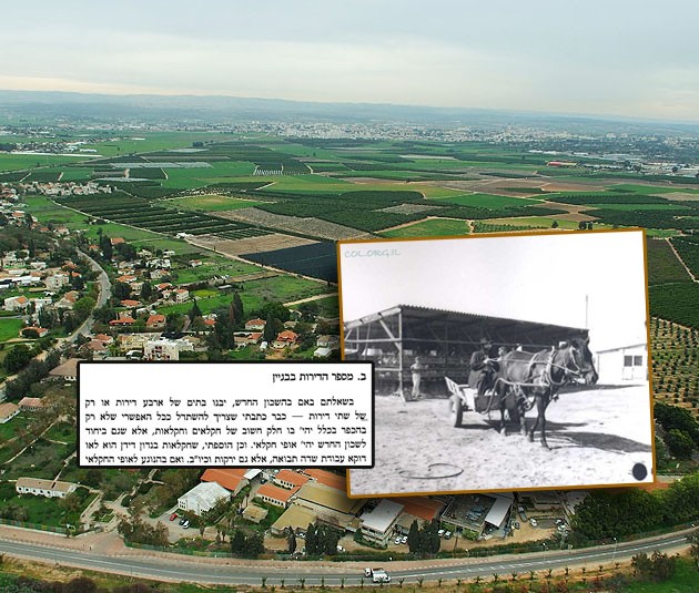 מכתבי הרבי על צביון כפר חב״ד