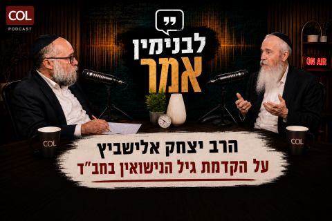 &ldquo;בחב&rdquo;ד יש בעיה&rdquo;: הרב אלישביץ על גיל הנישואין